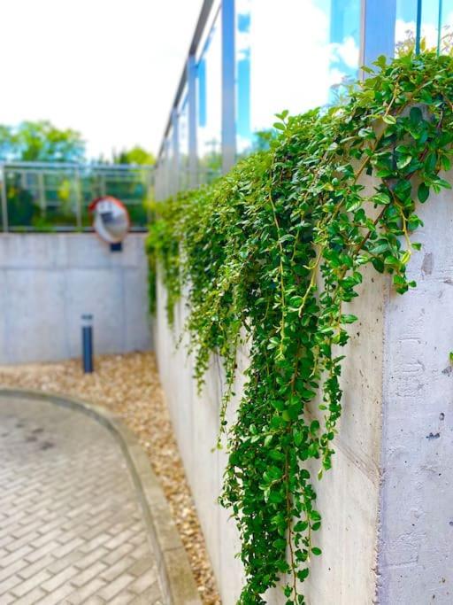 Smart Art :) Z Bezplatnym Parkingiem Podziemnym Apartment Kielce Bagian luar foto