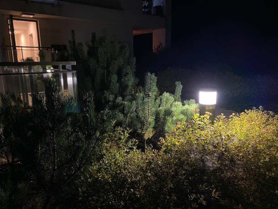 Smart Art :) Z Bezplatnym Parkingiem Podziemnym Apartment Kielce Bagian luar foto