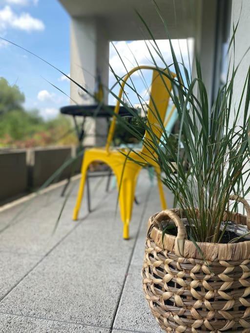 Smart Art :) Z Bezplatnym Parkingiem Podziemnym Apartment Kielce Bagian luar foto